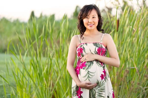 Gravid asiatisk kvinde - Stock-foto