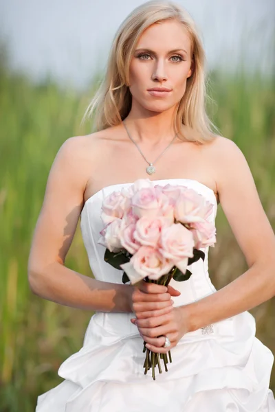 Krásná nevěsta — Stock fotografie