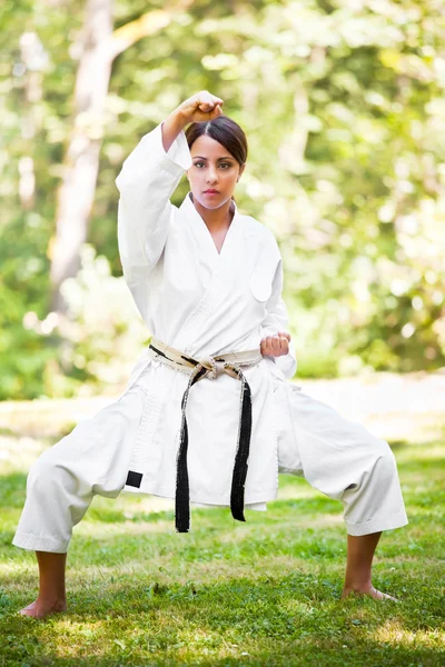 Asiatico praticare karate — Foto Stock