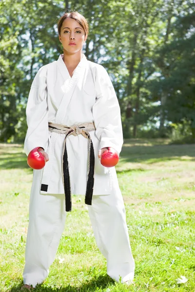 Azjatycki ćwiczyć karate — Zdjęcie stockowe