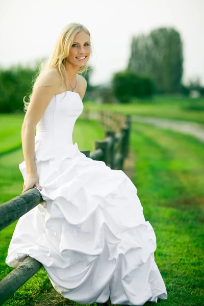 美しい花嫁 ストック画像