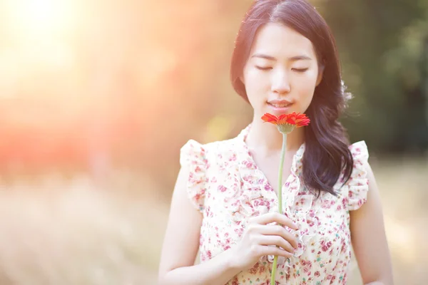 stock image Beautiful asian woman