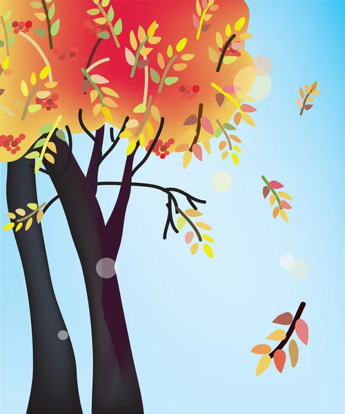 Fall tree card — Stock Vector