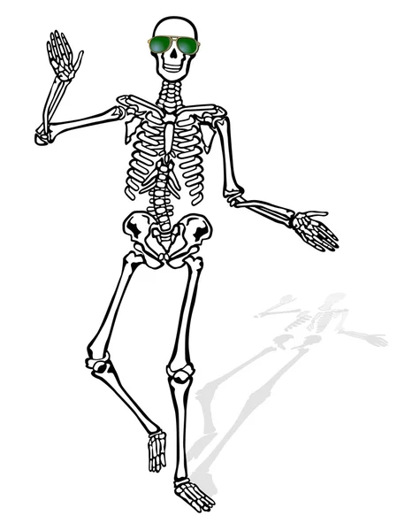 Squelette avec lunettes de soleil — Image vectorielle