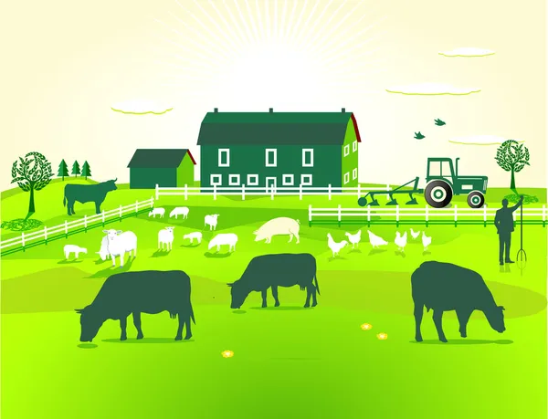 Зелений ферми — стоковий вектор