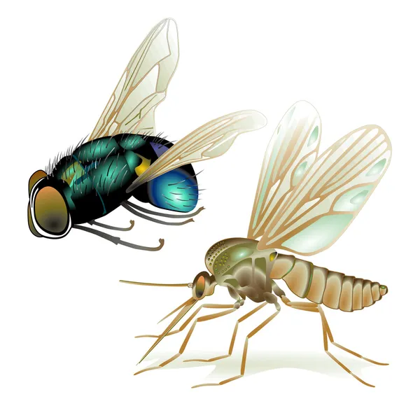 蚊子和苍蝇 — 图库矢量图片