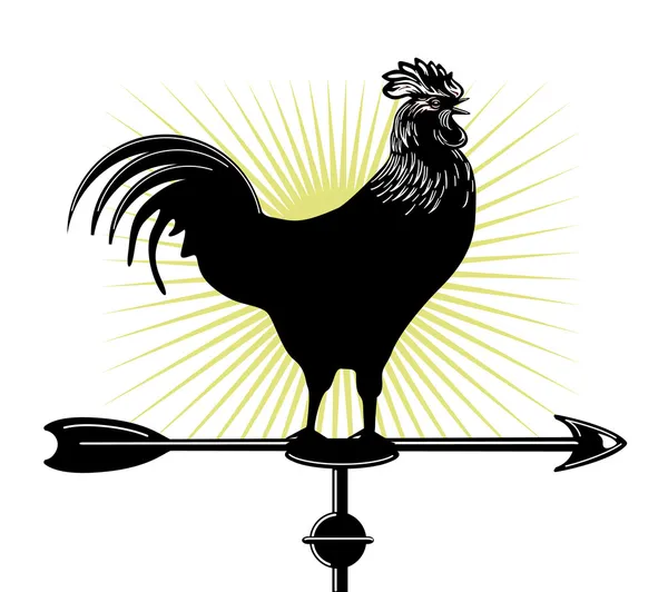 Tiempo polla — Vector de stock