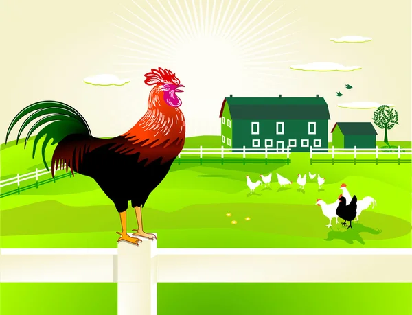 Polla con su granja — Vector de stock