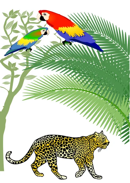 Papoušek a jaguar — Stockový vektor