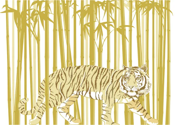 在竹林中的老虎 — 图库矢量图片