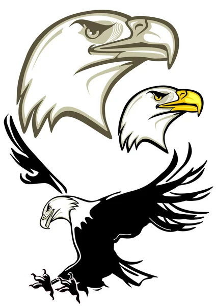 Cabeza de águila, águila — Archivo Imágenes Vectoriales