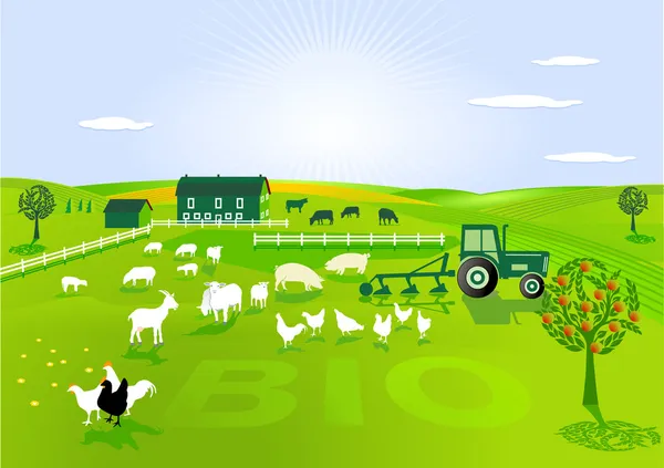 Ekologiskt jordbruk — Stock vektor