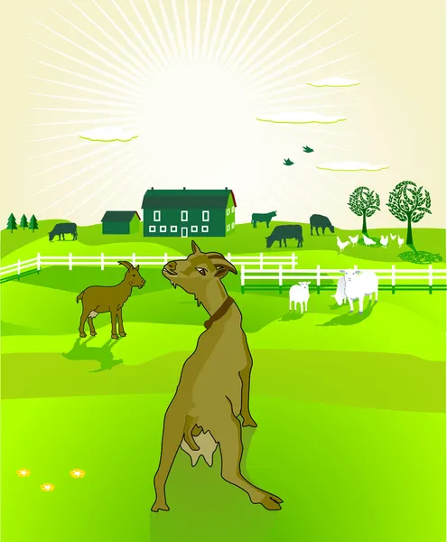 Κατσίκες και αγρόκτημα — Διανυσματικό Αρχείο