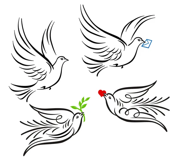 Dove, pigeon — Stock Vector