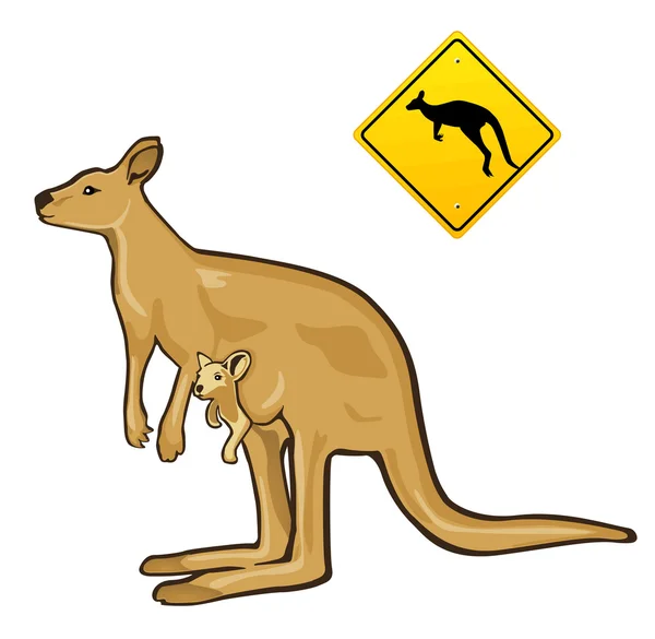 Kangaroo — Stock Vector