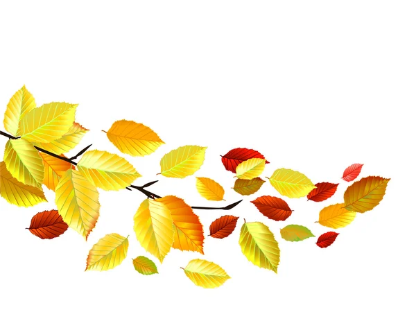 Herbstblätter im Oktober — Stockvektor