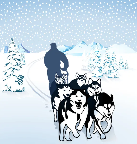 Traîneau à chiens dans la neige — Image vectorielle