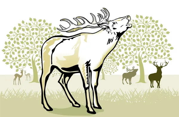 Cervo nella carreggiata — Vettoriale Stock