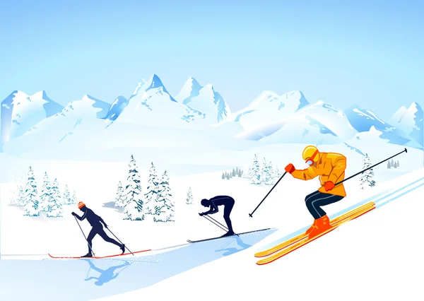 Cross country skiing — Stock Vector
