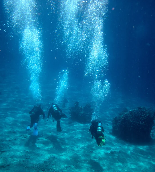 Група підводного занурення — стокове фото