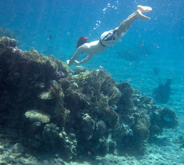 Potápěč s kamerou — Stock fotografie
