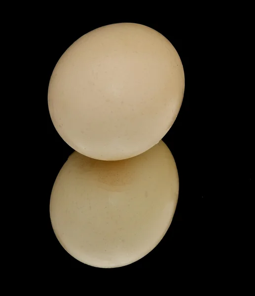 Jajko kurczak — Zdjęcie stockowe