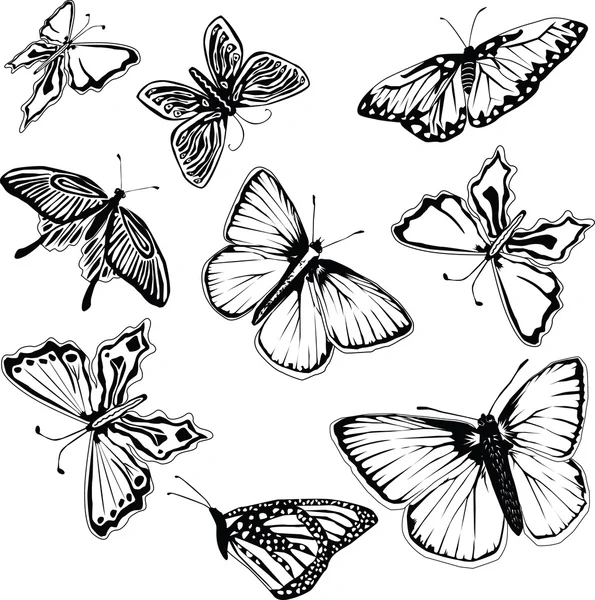 Set van zwarte en witte vlinders — Stockvector