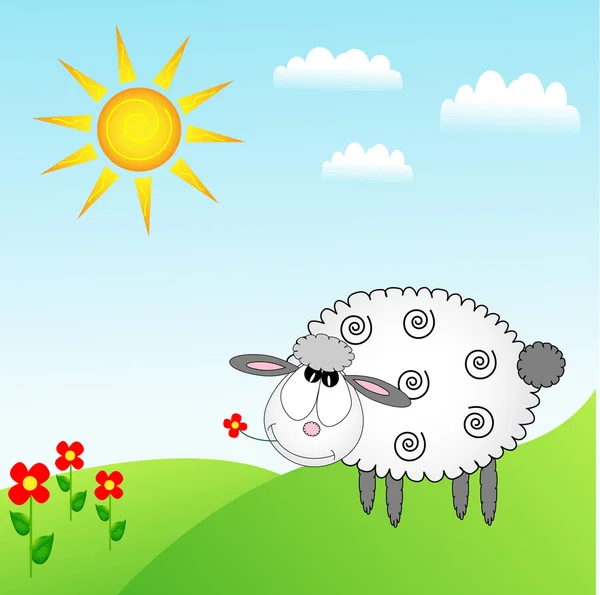 Schafe im Hintergrund — Stockfoto
