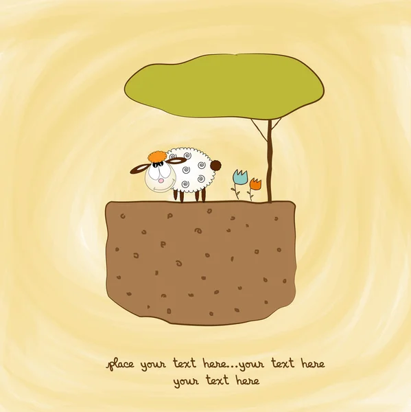 Een kleine schapen — Stockfoto