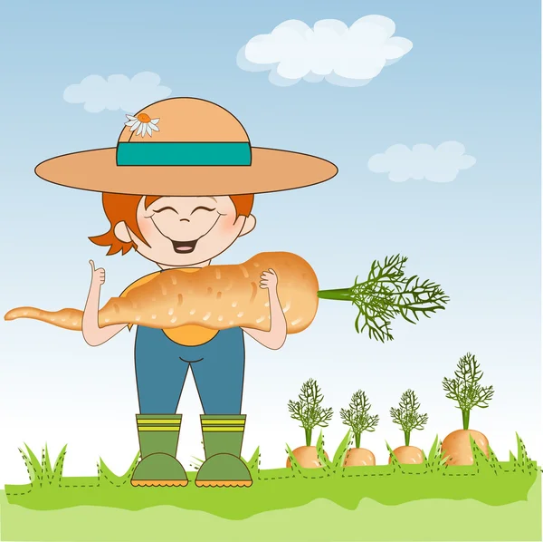 Tuinman om te oogsten wortelen — Stockfoto