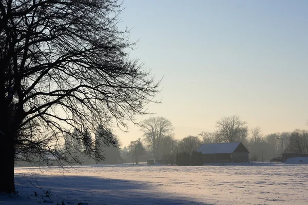 Winter country — Stock Photo, Image