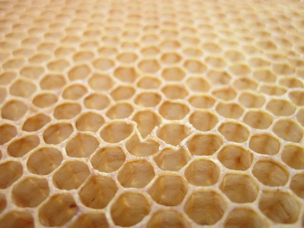 没有蜂蜜蜂蜡纹理 — 图库照片