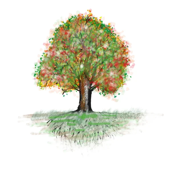 Bel albero primaverile — Foto Stock