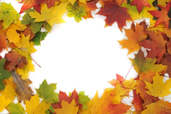 Farbe Herbstblätter als Rahmen — Stockfoto