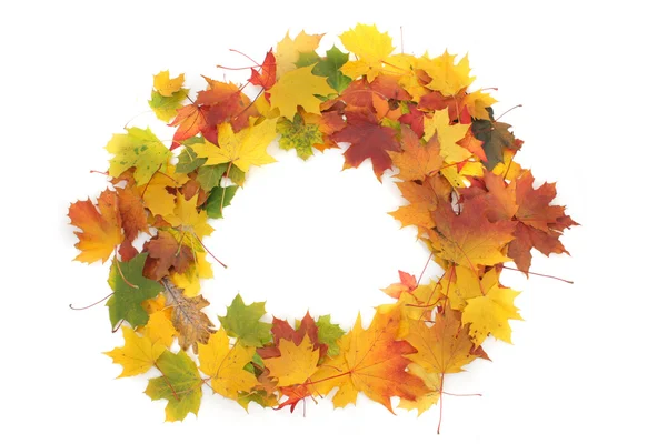 Color hojas de otoño como marco — Foto de Stock