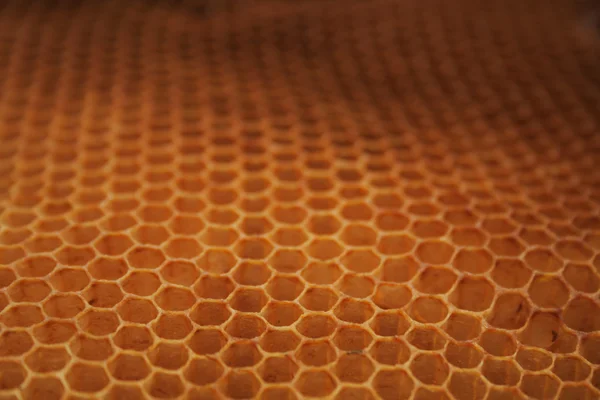 Fundo vazio de mel — Fotografia de Stock
