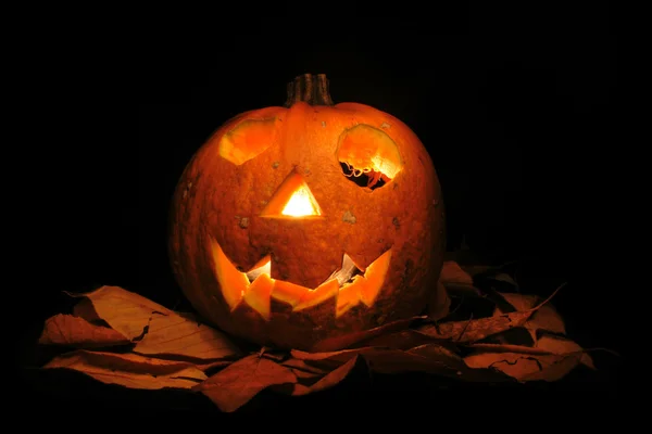 Halloween decoration — Stock Photo, Image