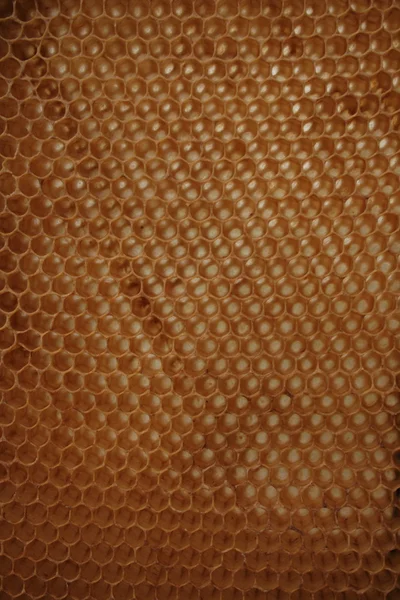 Wosk pszczeli miód wirhout — Zdjęcie stockowe