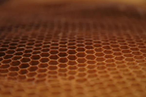 Cera de abejas wirhout miel — Foto de Stock
