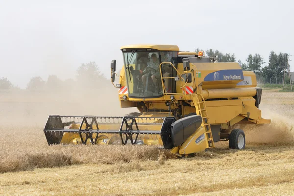 Stock image Harvester in the corn