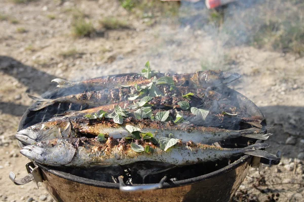Przygotowanie ryby z grilla — Zdjęcie stockowe
