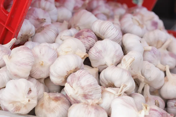 stock image Garlic background