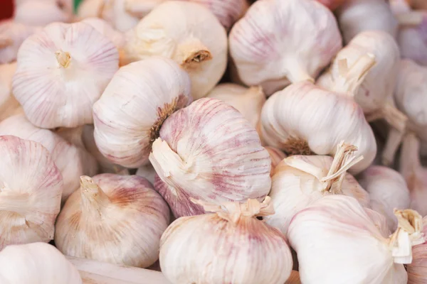 Garlic background — Stock Photo, Image