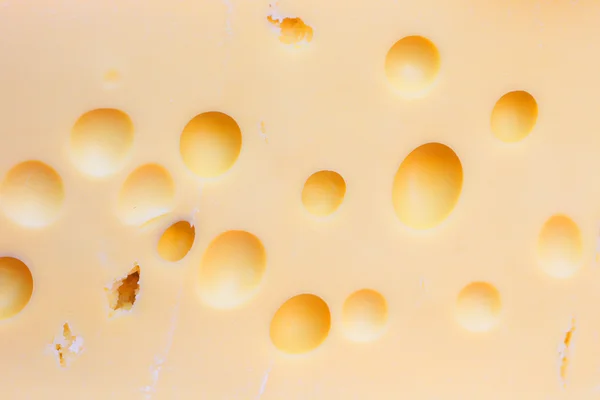 Käse-Hintergrund — Stockfoto
