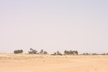 Sahara