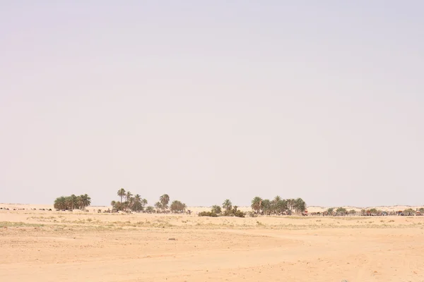 Сахара — стокове фото