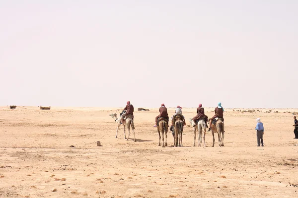 Sahara — Foto de Stock