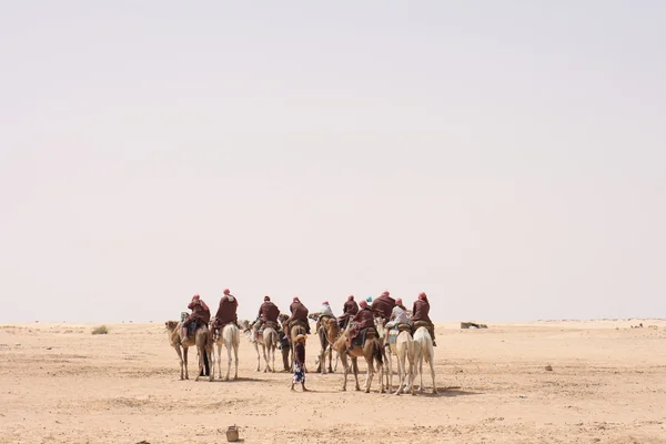 Sahara — Stock Photo, Image