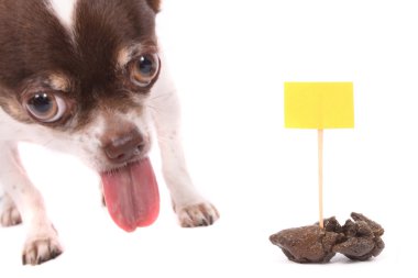 Dog and poo clipart