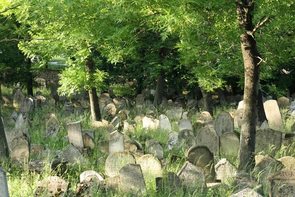 Eski Yahudi mezar yeri — Stok fotoğraf